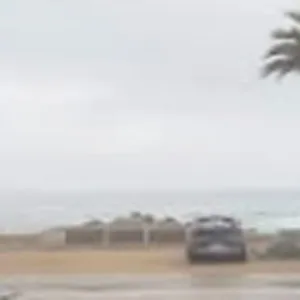Palmera frente a la playa de Reñaca, Chile